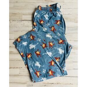 Looney Tunes Tasmanian Devil Taz PJs Pajamas EUC sz L